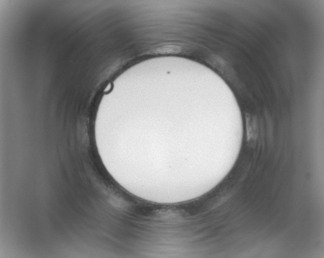 X0000063500300200602101906