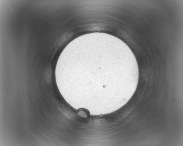 X0000063500304200602101906