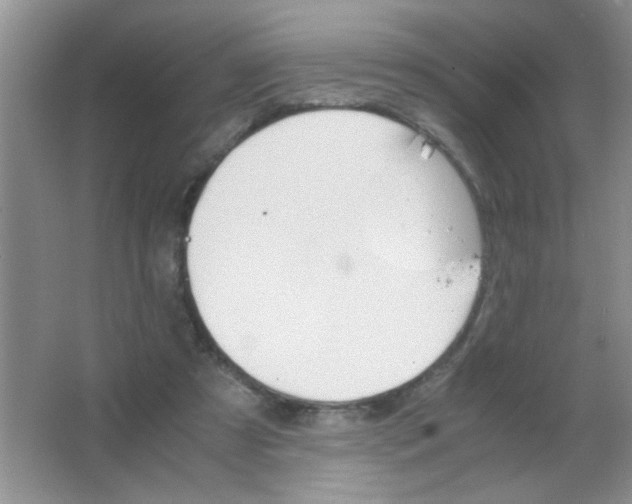 X0000063500305200602101906