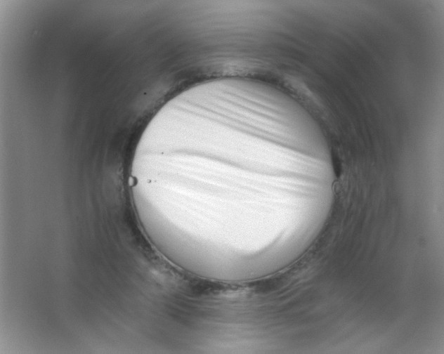 X0000063500306200602101906