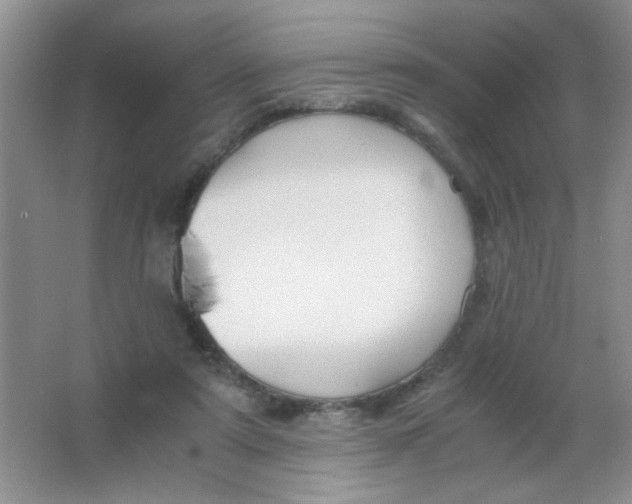 X0000063500307200602101906