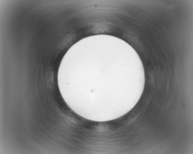 X0000063500308200602101906