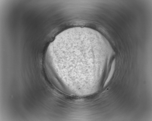 X0000063500309200602101906