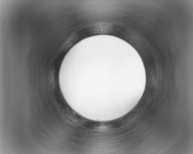 X0000063500312200602101906