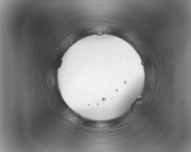 X0000063500313200602101906