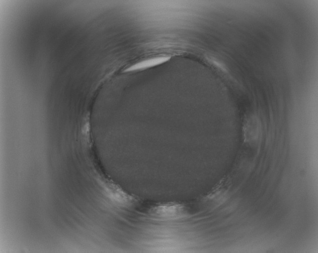 X0000063500314200602101906