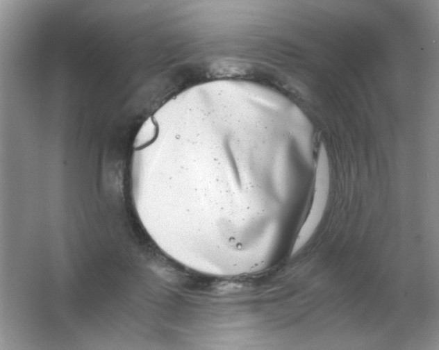 X0000063500315200602101906