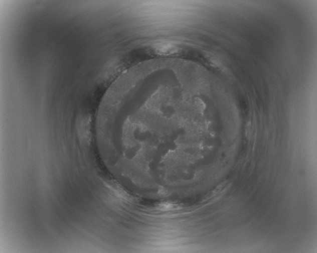 X0000063500319200602101906