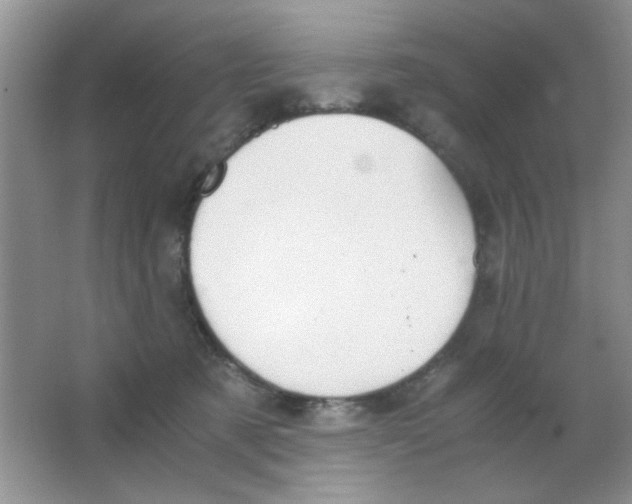 X0000063500321200602101906