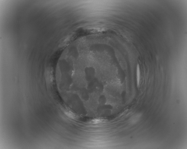 X0000063500323200602101906