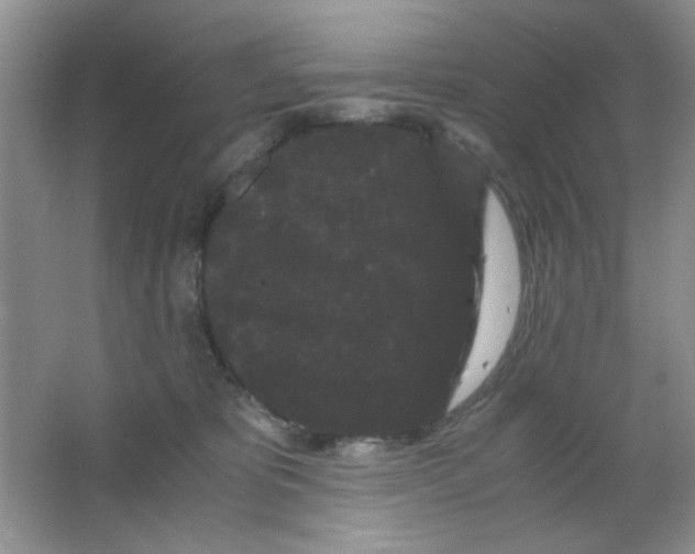 X0000063500325200602101906