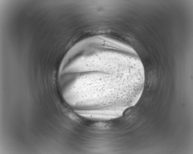 X0000063500326200602101906