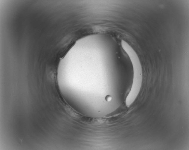 X0000063500329200602101906