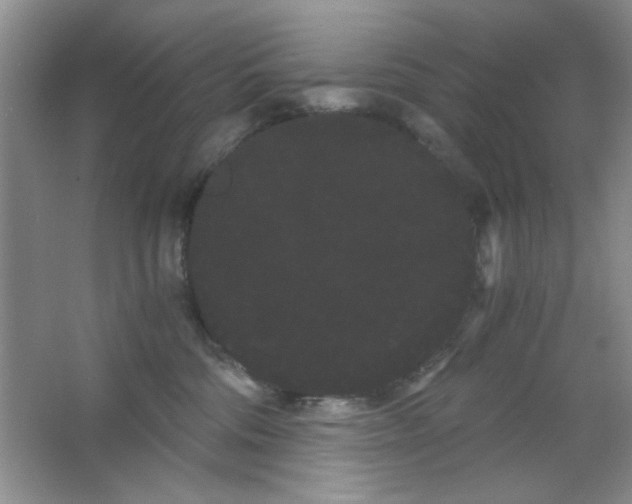 X0000063500330200602101906