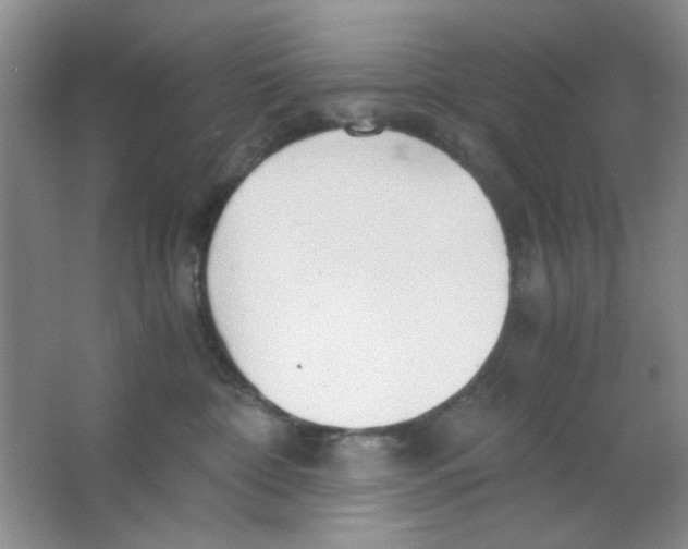 X0000063500332200602101906