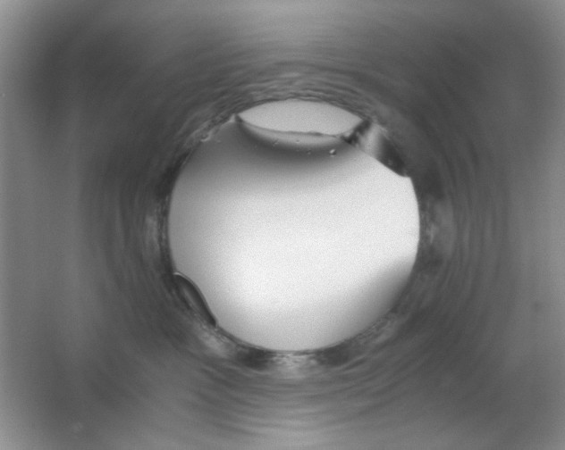 X0000063500333200602101906