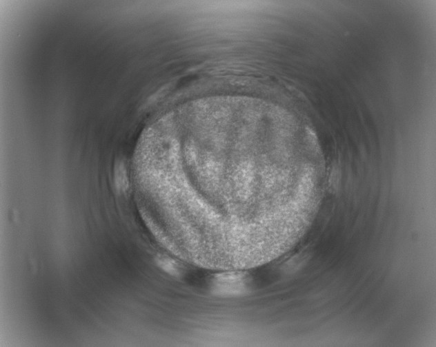 X0000063500335200602101906