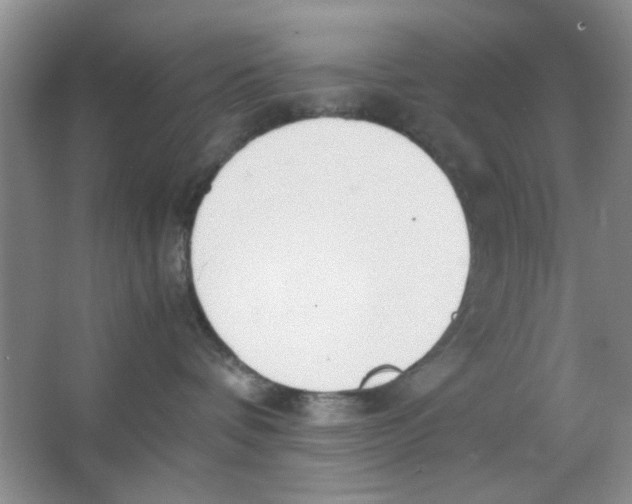 X0000063500336200602101906