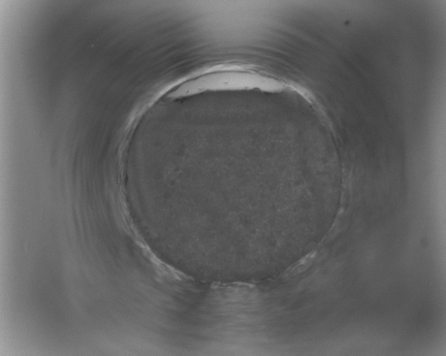 X0000063500337200602101905