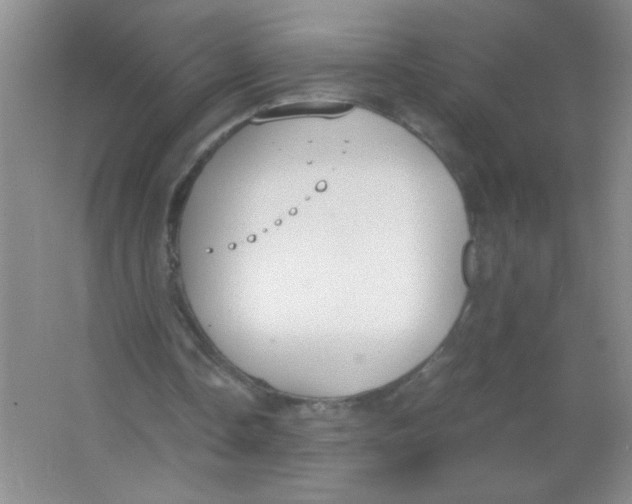 X0000063500338200602101905