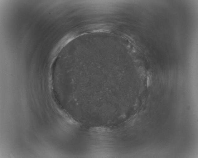 X0000063500339200602101905