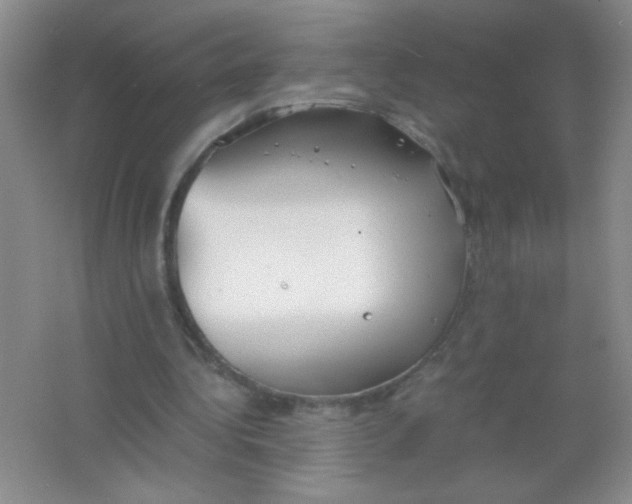 X0000063500340200602101905