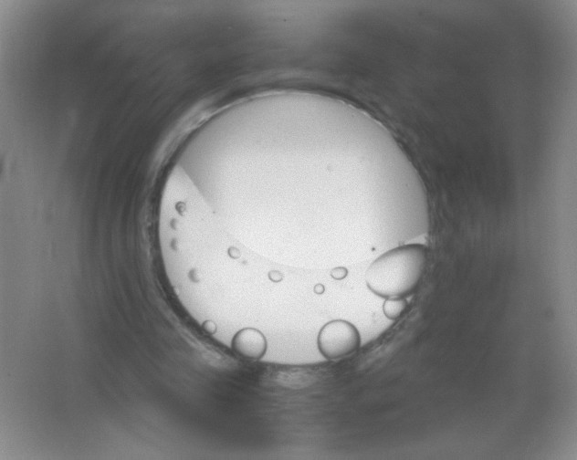 X0000063500341200602101905