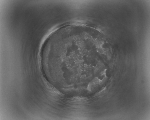 X0000063500343200602101905