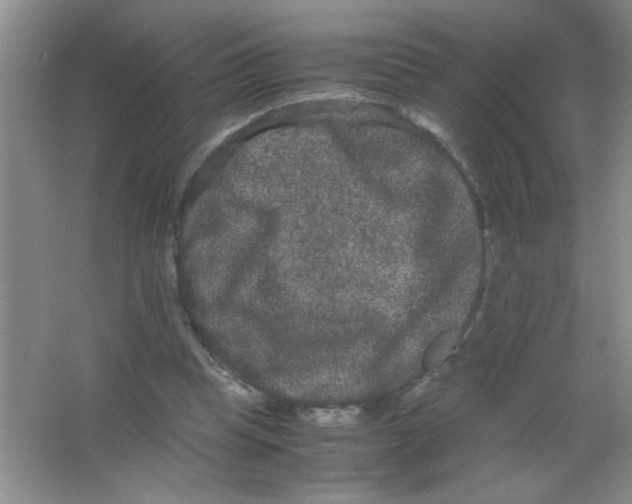 X0000063500345200602101905