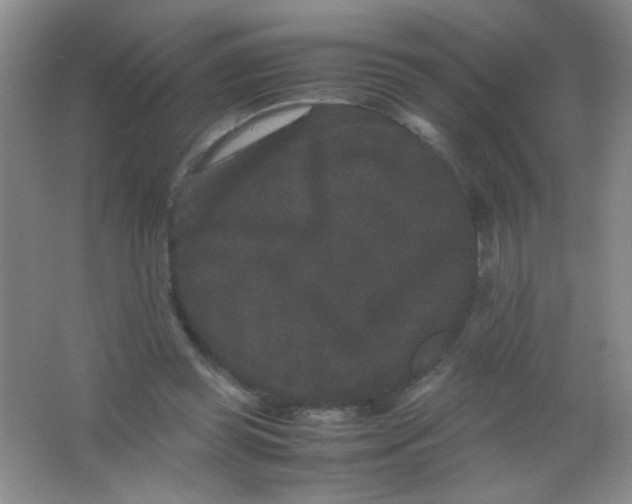 X0000063500349200602101905