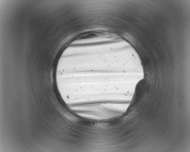 X0000063500350200602101905