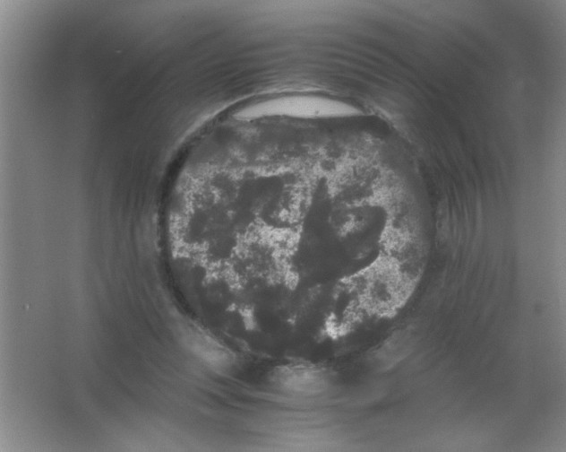 X0000063500351200602101905