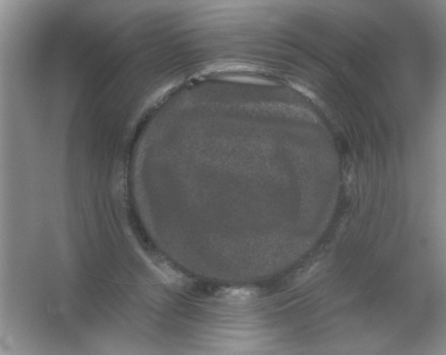 X0000063500352200602101905