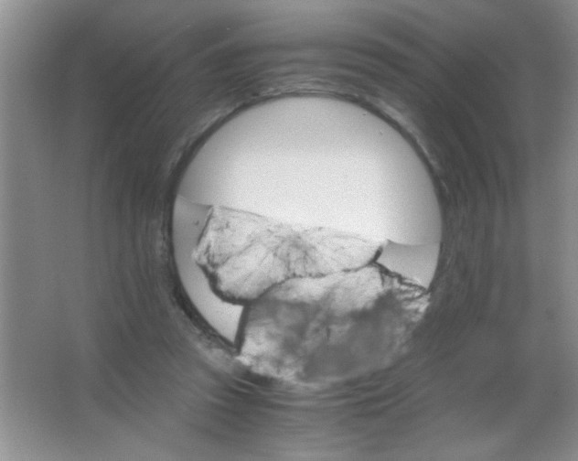 X0000063500353200602101905