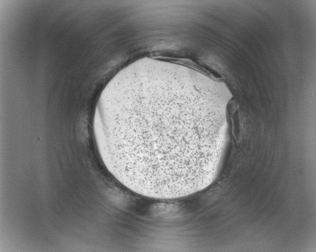 X0000063500354200602101905