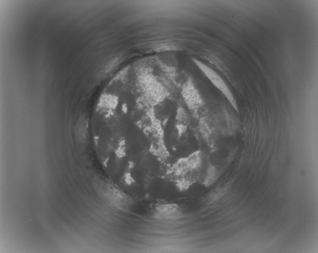 X0000063500355200602101905