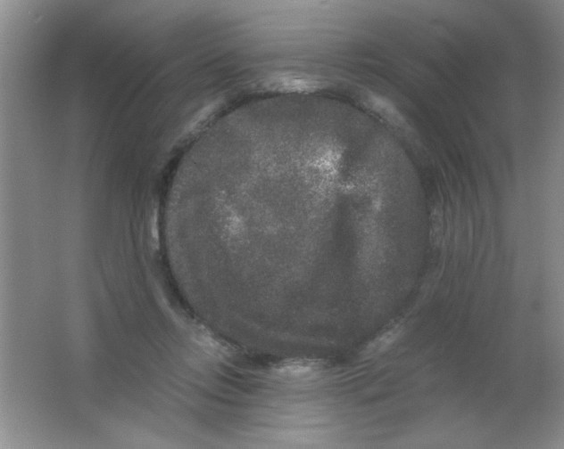 X0000063500358200602101905