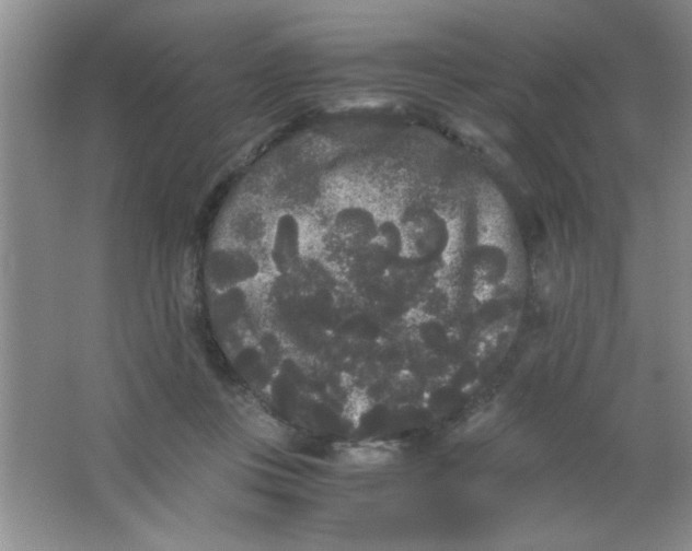 X0000063500359200602101905