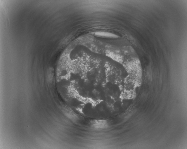 X0000063500361200602101905