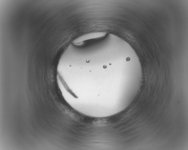 X0000063500362200602101905