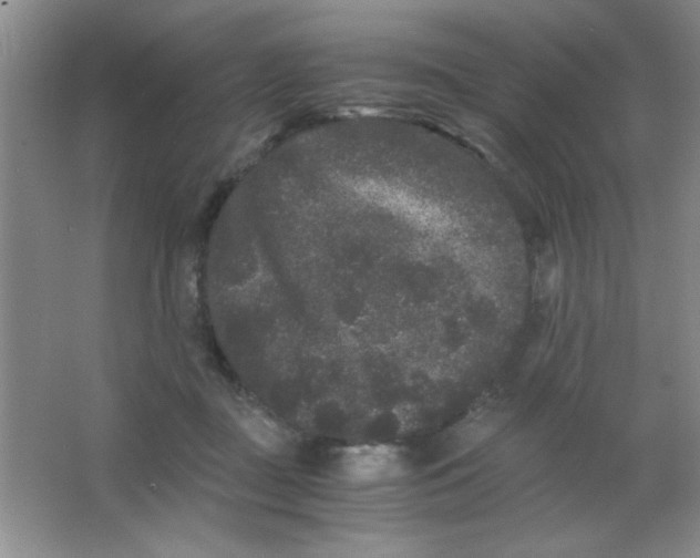 X0000063500363200602101905