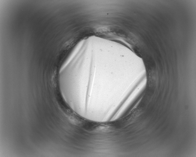 X0000063500364200602101905