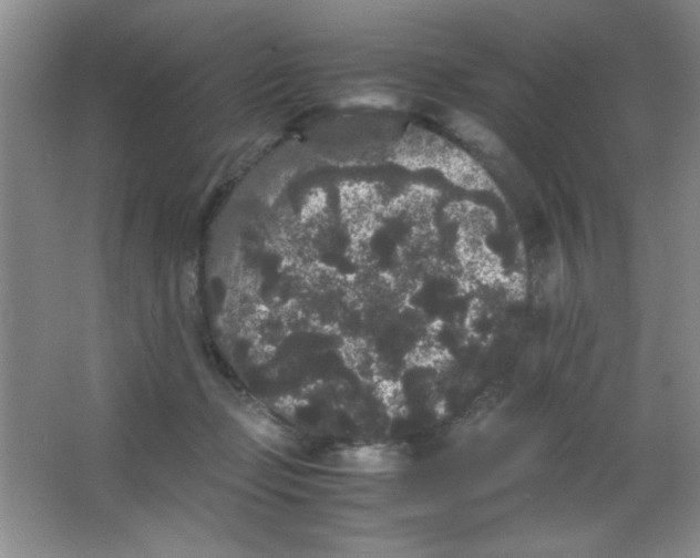 X0000063500365200602101905