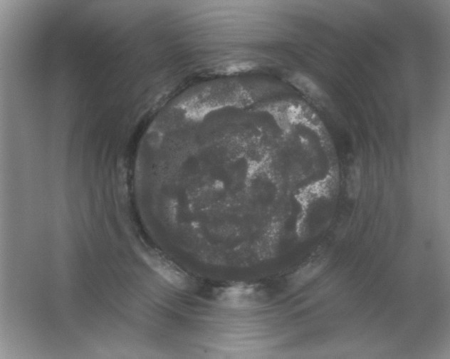 X0000063500366200602101905