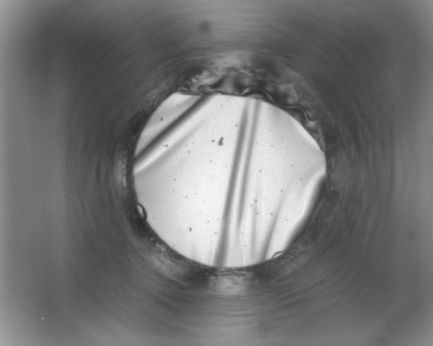 X0000063500368200602101905