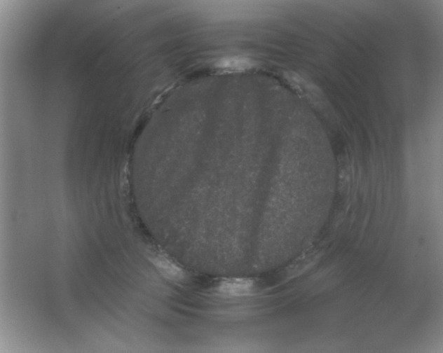 X0000063500369200602101905