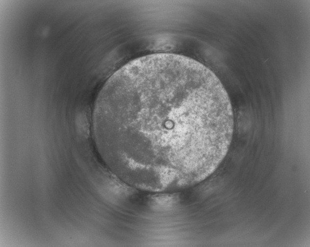 X0000063500370200602101905