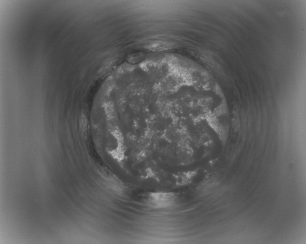 X0000063500371200602101905