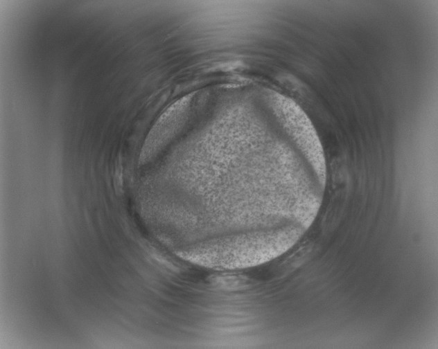 X0000063500372200602101905