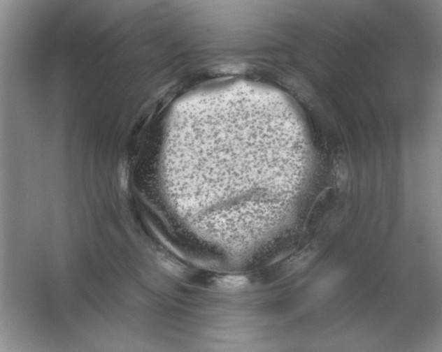 X0000063500374200602101905